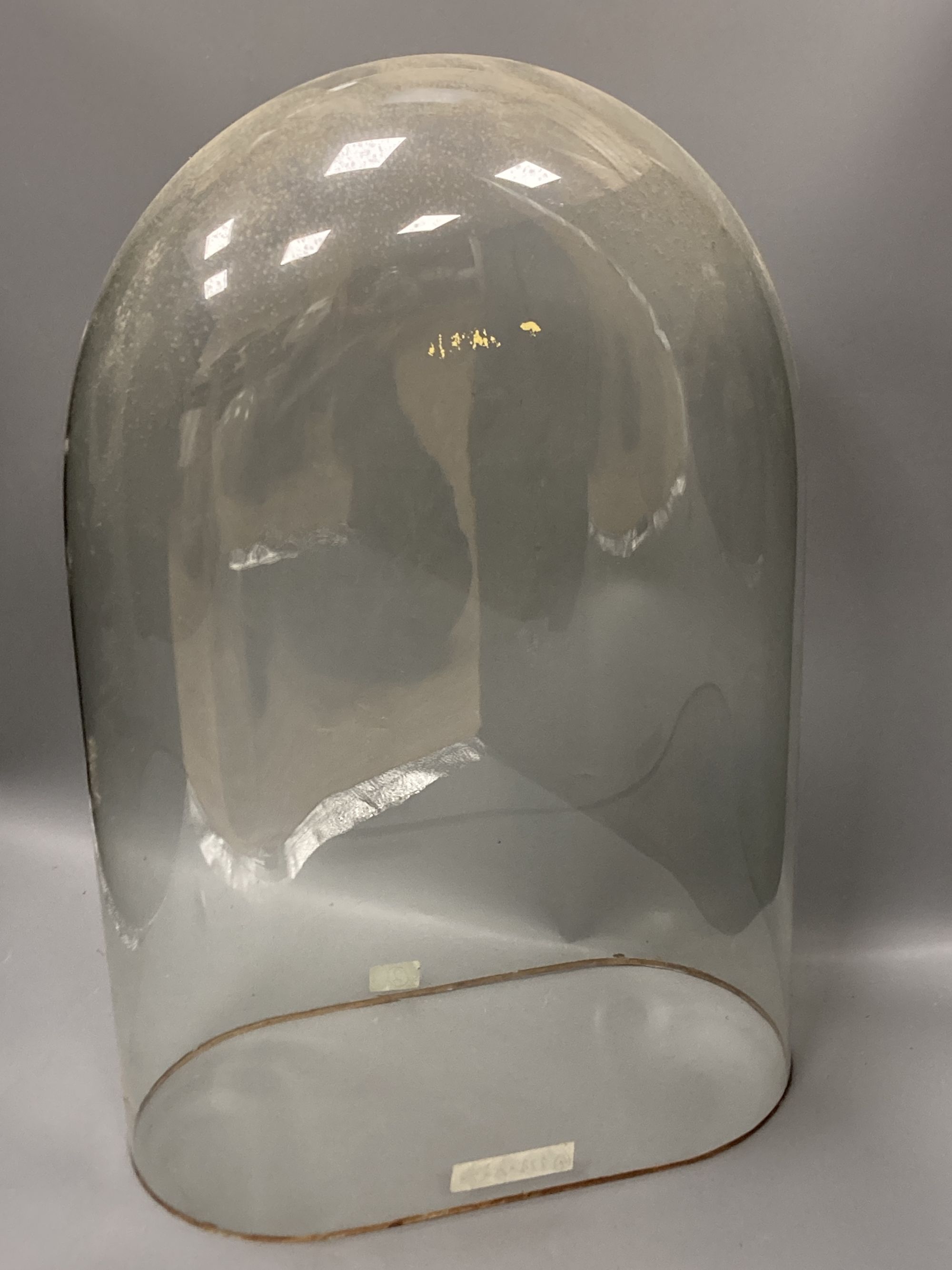 Two large Victorian glass domes with bases, tallest 57cm